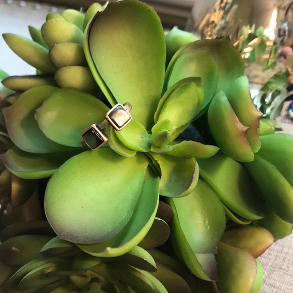 Beautiful Abalone Adjustable Gold Ring! - Picture 3 of 7